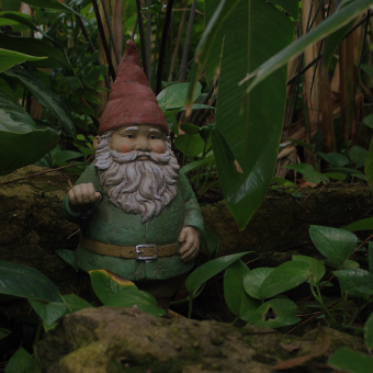 Gnomes Design Challenge