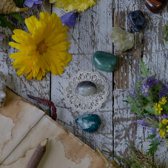 An assortment of herbs, flowers and crystals.